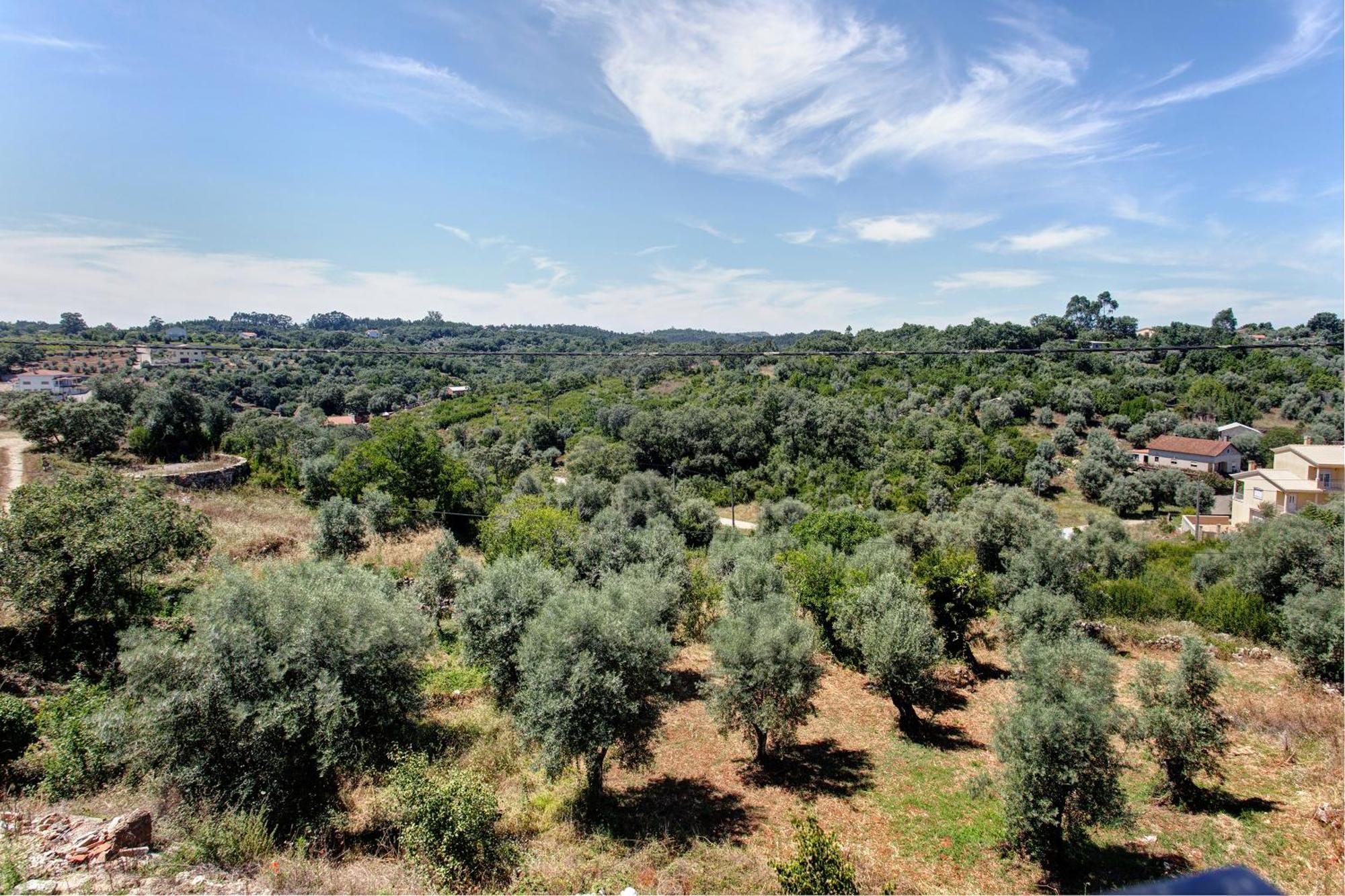 אנסיאו Casa Do Piao - Turismo Rural מראה חיצוני תמונה